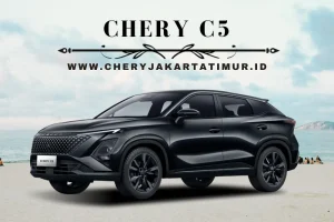 CHERY C5